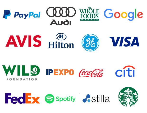 Trusted brand logos including PayPal, Audi, Google, Visa and Starbucks
